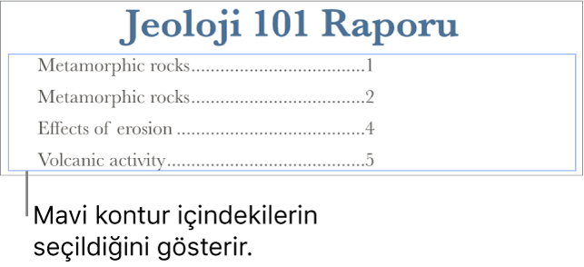 Belgeye eklenmiş içindekiler. Girişler, sayfa numaraları ile birlikte konu başlıkları gösterir.