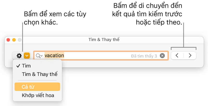 Cửa sổ Tìm & Thay thế với menu bật lên hiển thị các tùy chọn cho Tìm, Tìm & Thay thế, Cả từ và Khớp viết hoa. Các mũi tên ở bên phải cho phép bạn chuyển đến kết quả tìm kiếm trước đó hoặc tiếp theo.