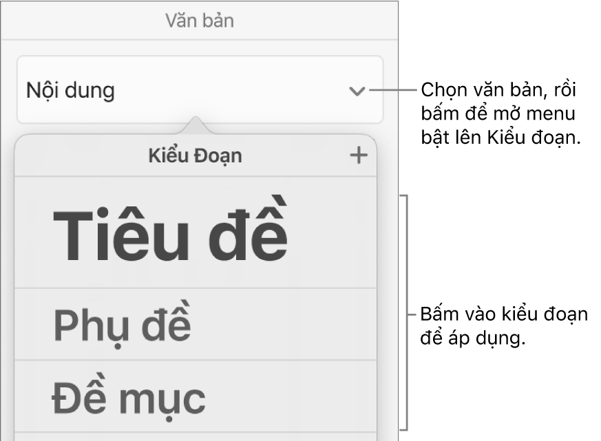 Menu Kiểu đoạn.