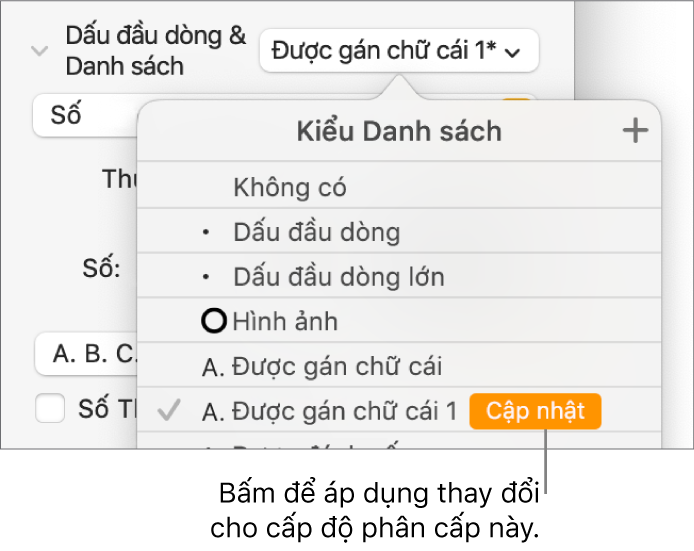 Menu bật lên Kiểu danh sách có nút Cập nhật bên cạnh tên của kiểu mới.