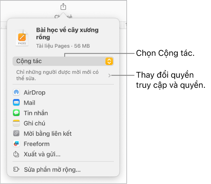 Menu Chia sẻ với Cộng tác được chọn ở trên cùng và các cài đặt quyền truy cập và quyền ở bên dưới.