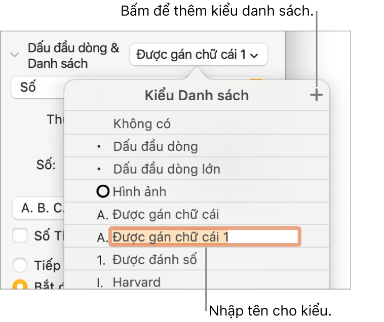 Menu bật lên Kiểu danh sách có nút Thêm ở góc trên cùng bên phải và tên kiểu giữ chỗ với văn bản được chọn.