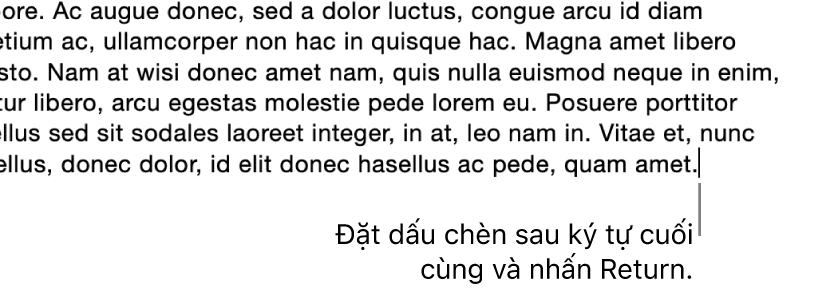 Dấu chèn được đặt sau dấu chấm ở câu cuối cùng của đoạn.