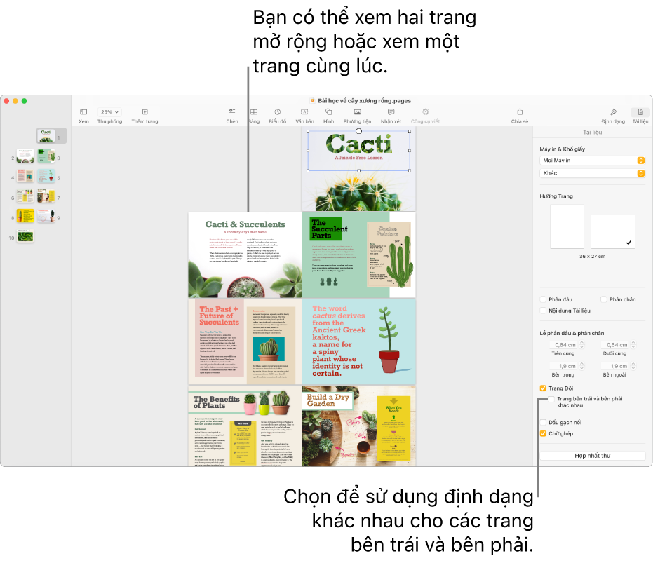 Cửa sổ Pages với các hình thu nhỏ của trang và các trang tài liệu được xem dưới dạng bản in hai trang. Trên thanh bên Tài liệu ở bên phải, hộp kiểm “Trang bên trái và bên phải khác nhau” được chọn.