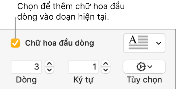 Hộp kiểm Chữ hoa đầu dòng được chọn và menu bật lên xuất hiện ở bên phải; các điều khiển để đặt chiều cao đường, số lượng ký tự và các tùy chọn khác xuất hiện bên dưới.