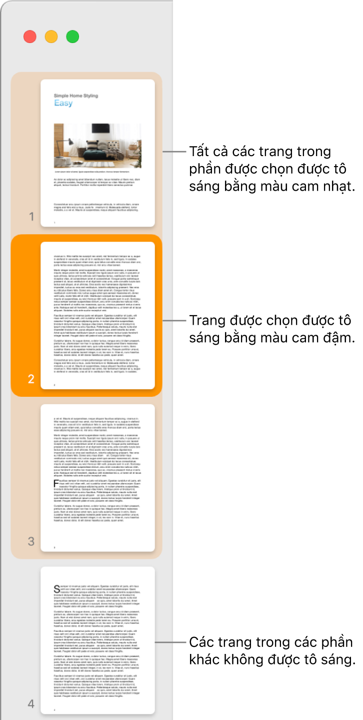 Thanh bên Chế độ xem hình thu nhỏ với trang được chọn được tô sáng bằng màu cam đậm và tất cả các trang trong phần được chọn được tô sáng bằng màu cam nhạt.