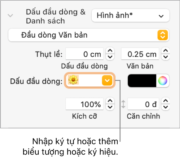 Phần Dấu đầu dòng & Danh sách của thanh bên Định dạng. Trường Đầu dòng hiển thị một biểu tượng bông hoa.