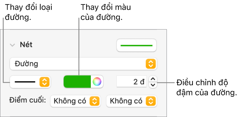 Các điều khiển nét để đặt điểm cuối, độ đậm của đường và màu.
