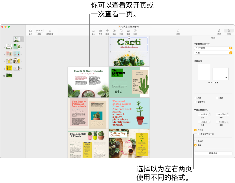 Pages 文稿窗口，其中页面缩略图和文稿页面显示为跨页。在右侧的“文稿”边栏中，“左页和右页不同”复选框未选中。