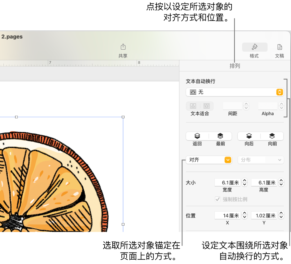 显示了“排列”边栏的“格式”菜单。“对象放置”设置位于“排列”边栏顶部，其下方是“文本自动换行”设置。