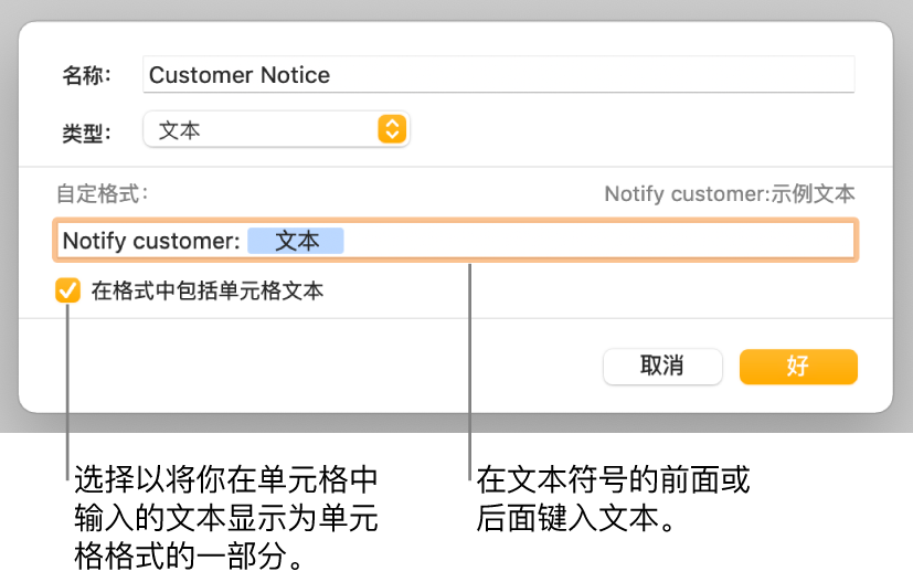 自定义单元格式窗口，带有用于选取自定义文本格式的控制。