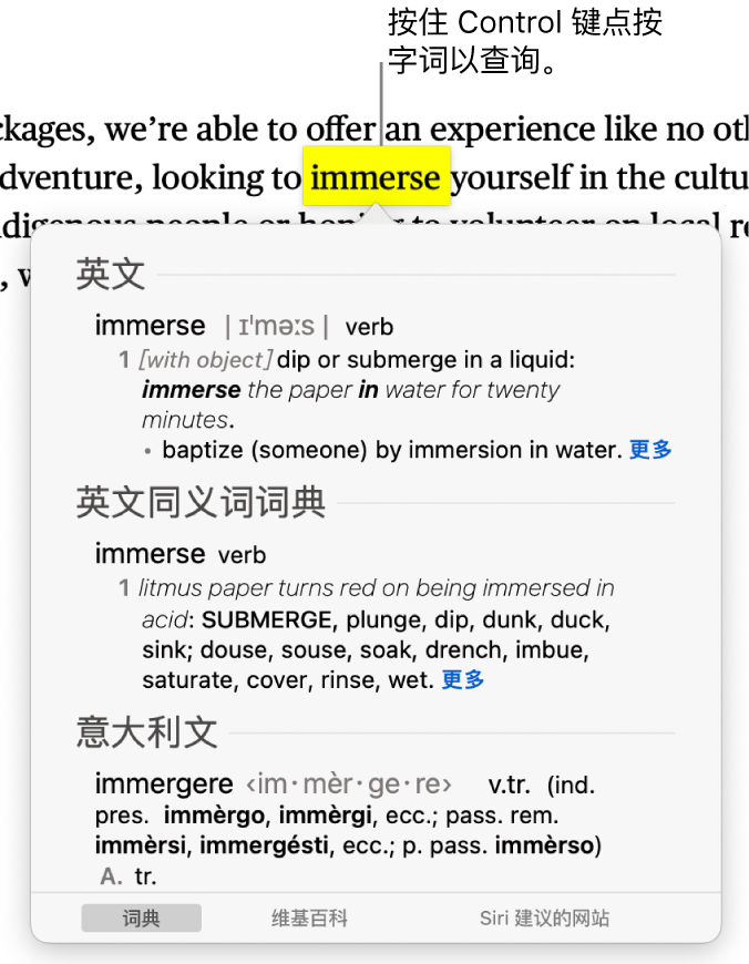 段落中高亮标记的字词，以及一个显示其定义和辞典条目的窗口。窗口底部的按钮提供前往词典、维基百科和 Siri 建议网站的链接。