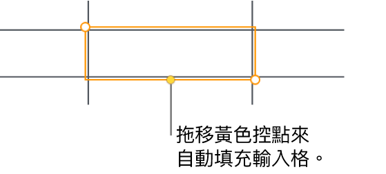 選取的輸入格帶有黃色控點，你可以拖移來自動填充輸入格。