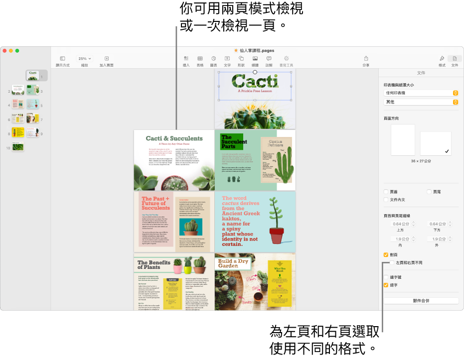 帶有頁面縮覽圖和以雙頁全開檢視文件頁面的 Pages 視窗。在右側的「文件」側邊欄中，「左頁和右頁不同」註記框為未選取狀態。