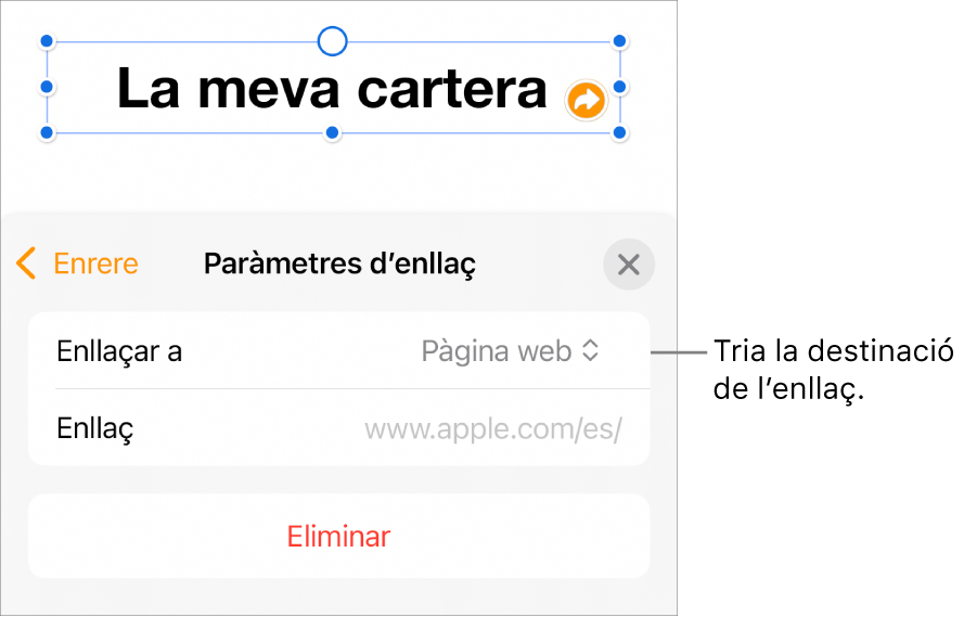 Controls “Paràmetres d’enllaç” amb l’opció “Pàgina web” seleccionada i el botó “Elimina” situat a la part inferior.