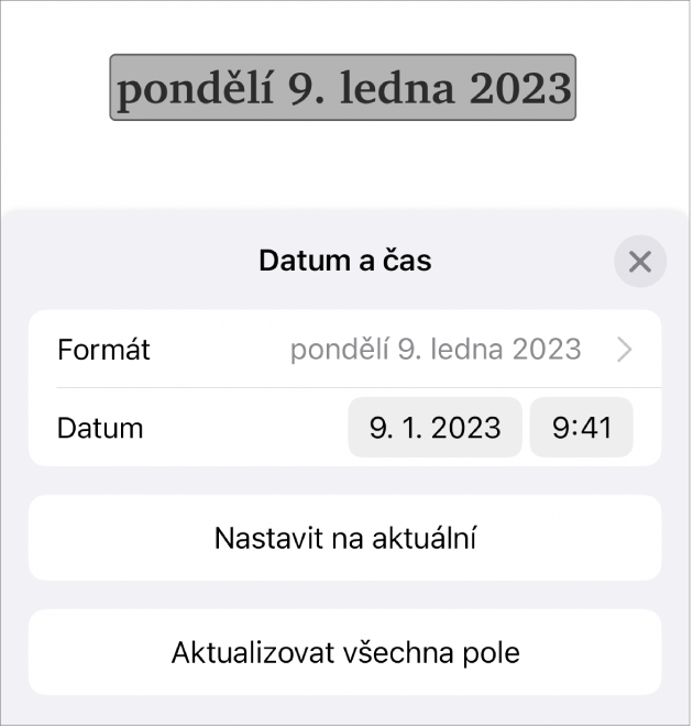 Ovládací prvky data a času se zobrazenou místní nabídkou pro formátování data a tlačítky Nastavit na aktuální a Aktualizovat všechna pole