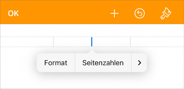 Das Fenster für die Dokumentkonfiguration mit der Einfügemarke in einem Kopfzeilenfeld und einem Einblendmenü mit zwei Menüoptionen: „Seitenzahlen“ und „Einfügen“.