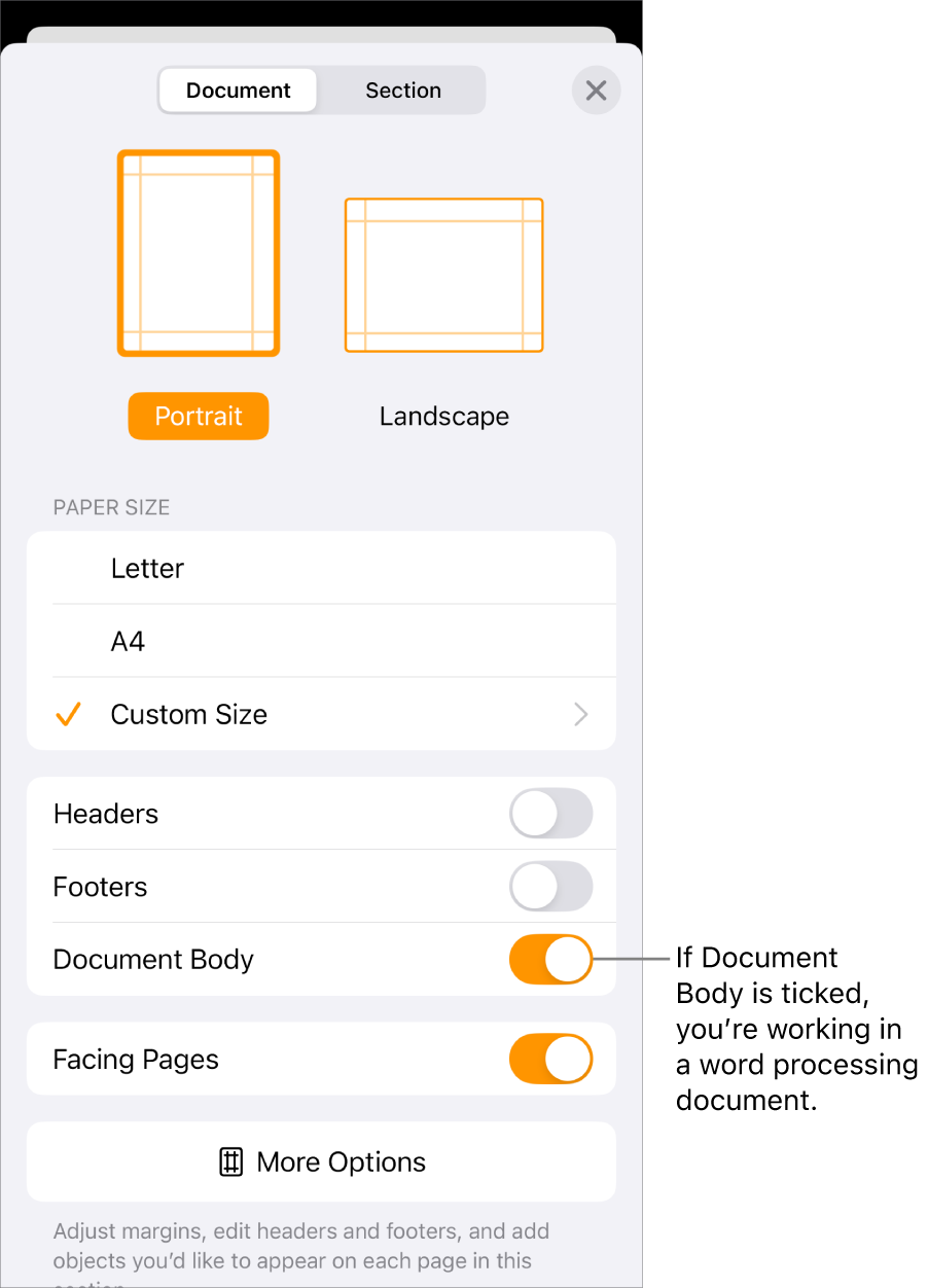 Document Setup open with Document Body checked in a word processing document.