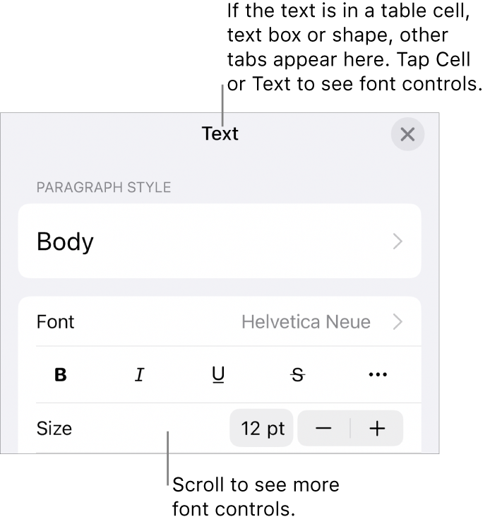 Text controls in the Format menu for setting paragraph and character styles, font, size and colour.