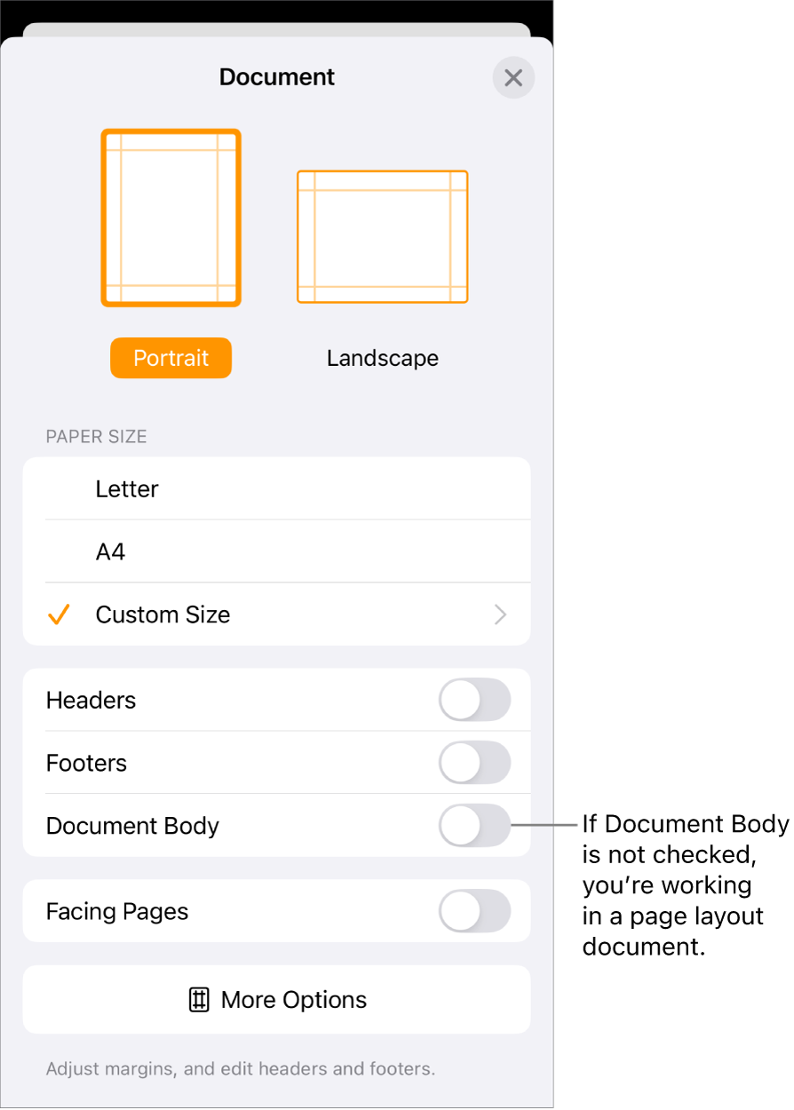 Document Setup open with Document Body unchecked in a page layout document.