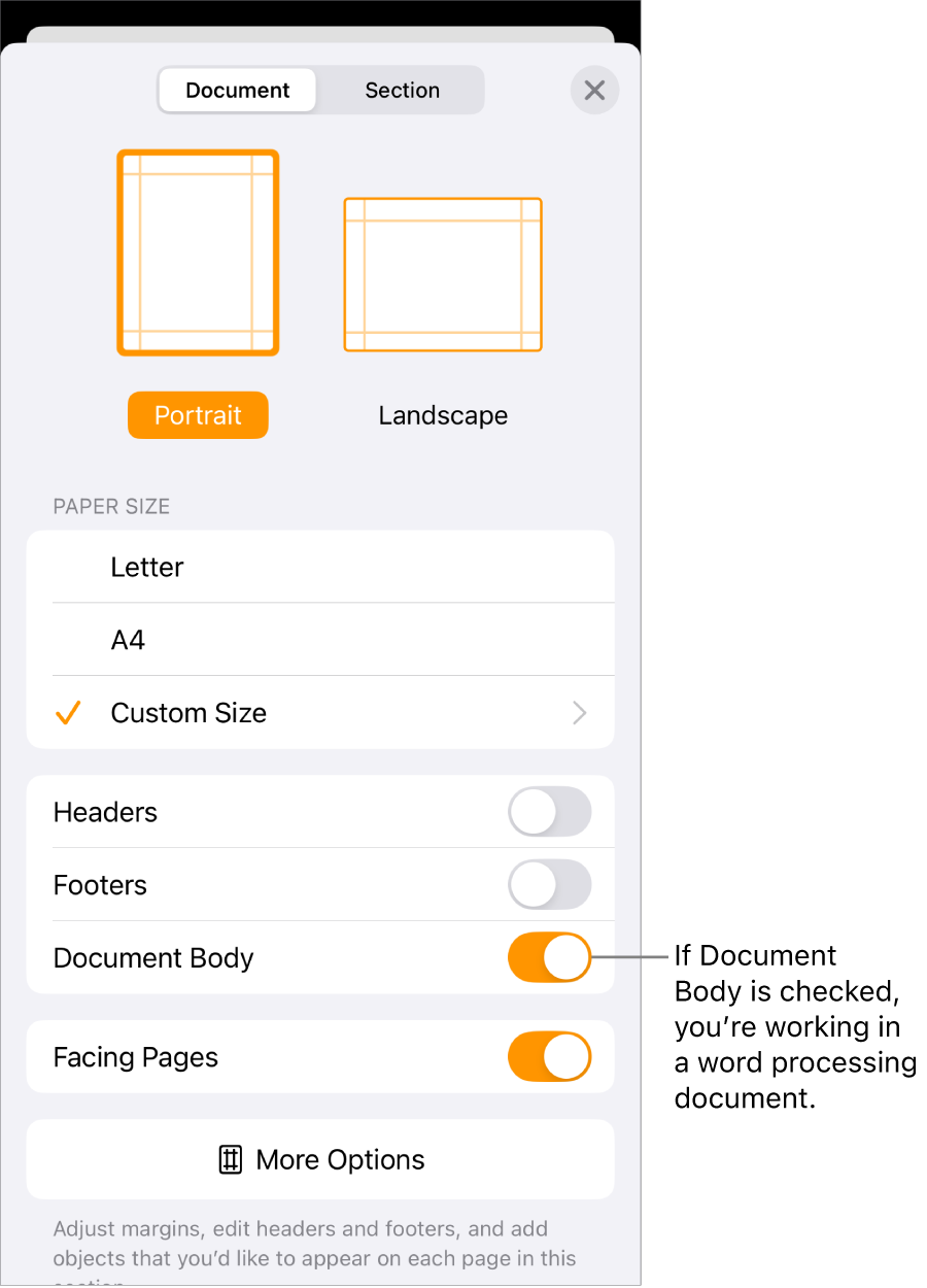 Document Setup open with Document Body checked in a word-processing document.