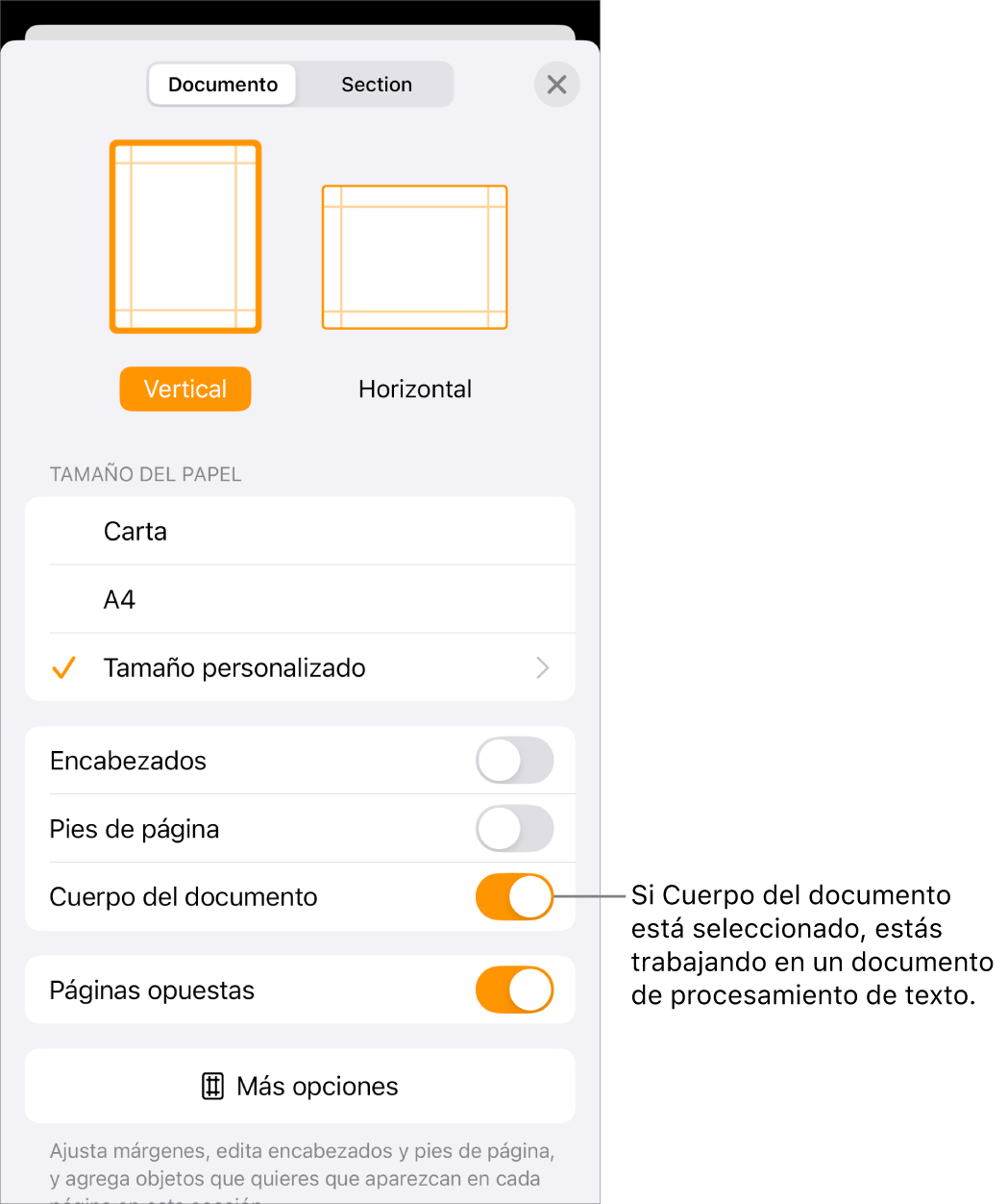 Configuración del documento abierta con la opción Cuerpo del documento marcada en un documento de procesamiento de texto.