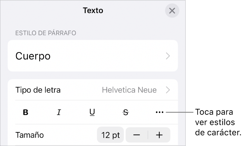 Los controles de formato con los botones Negrita, Cursiva, Subrayado, Tachado y Más opciones de texto.