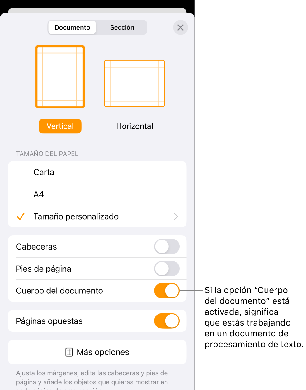 La configuración del documento está abierta y el cuerpo del documento está seleccionado en un documento de procesamiento de texto.