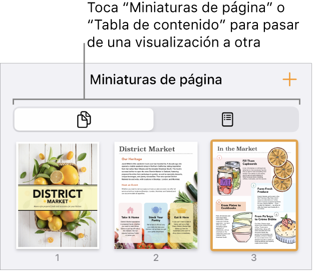 Visualización de miniaturas de página con imágenes en miniatura de cada página. Hay un botón “Miniaturas de página” y un botón de la tabla de contenido en la parte inferior de la pantalla.