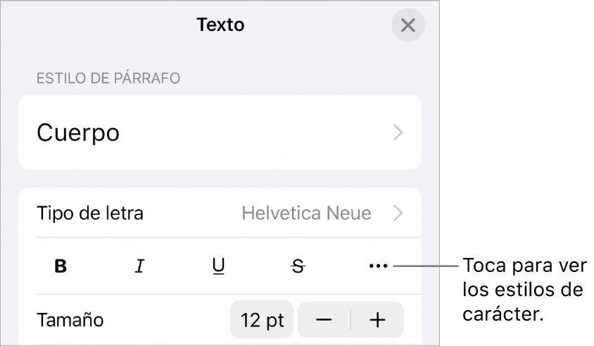 Los controles de Formato con los botones Negrita, Cursiva, Subrayado, Tachado y “Más opciones de texto”