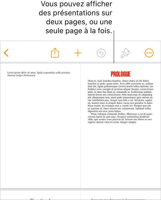 Un document dont les pages sont affichées en présentation sur deux pages.