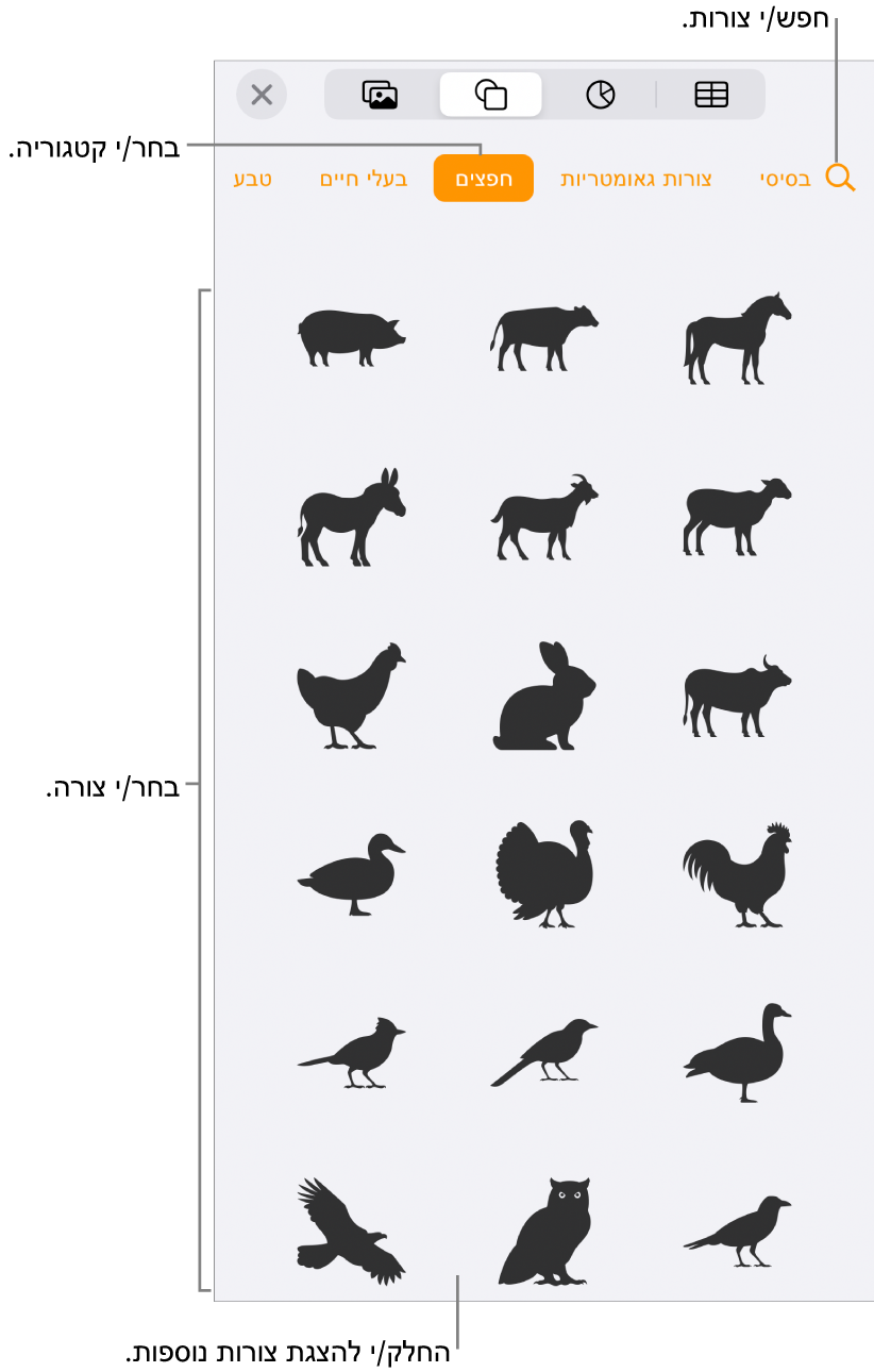 ספריית הצורות, כשקטגוריות מופיעות למעלה וצורות מוצגות למטה. ניתן להשתמש בכפתור החיפוש בראש המסך כדי למצוא צורות ולהחליק כדי להציג עוד.