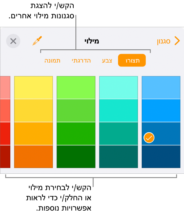 אפשרויות מילוי בכרטיסייה ״סגנון״ של הכפתור ״עיצוב״.