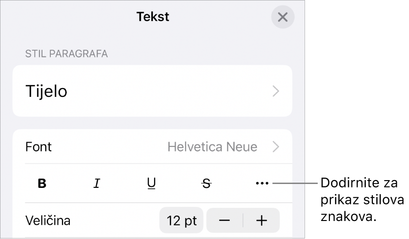 Kontrole opcije Formatiraj s tipkama za opcije teksta Podebljano, Kurziv, Podcrtavanje, Precrtavanje i Više.