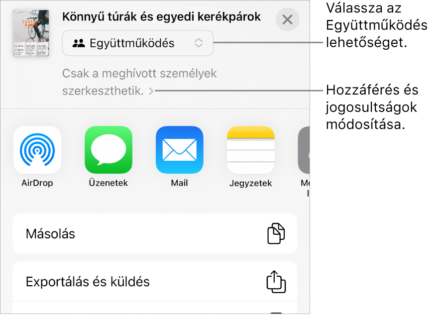 A Megosztás menü a felül kijelölt Együttműködés lehetőséggel, és az alatt látható hozzáférési és jogosultsági beállításokkal.
