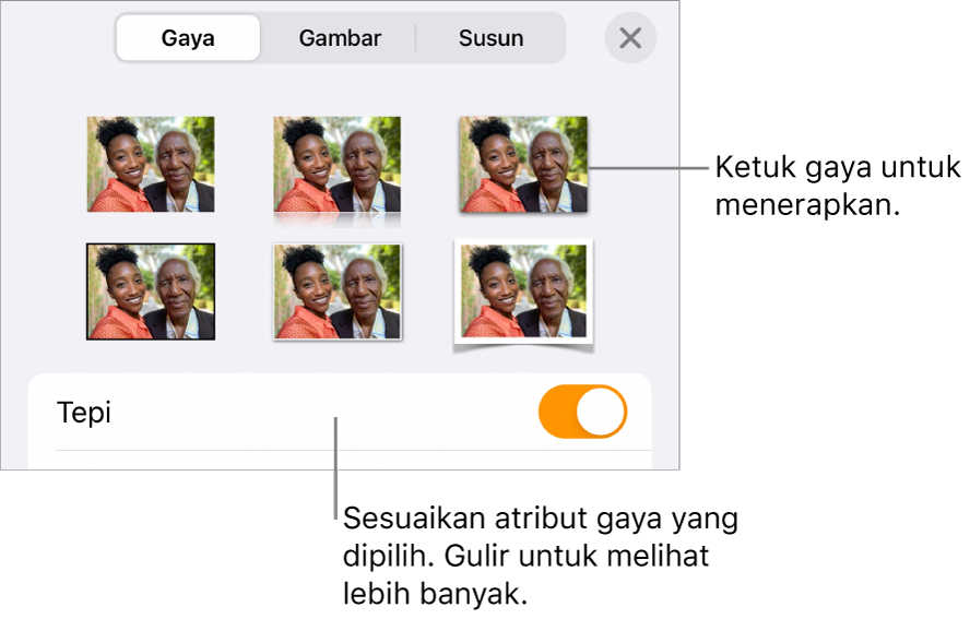 Tab Gaya menu Format dengan gaya objek di bagian atas dan kontrol di bawahnya untuk mengubah tepi.