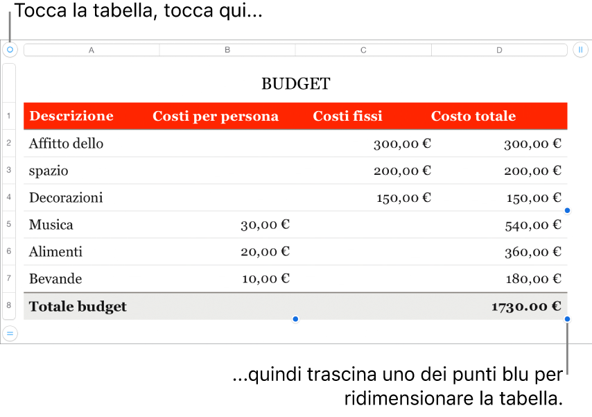 Tabella selezionata con punti blu per il ridimensionamento.