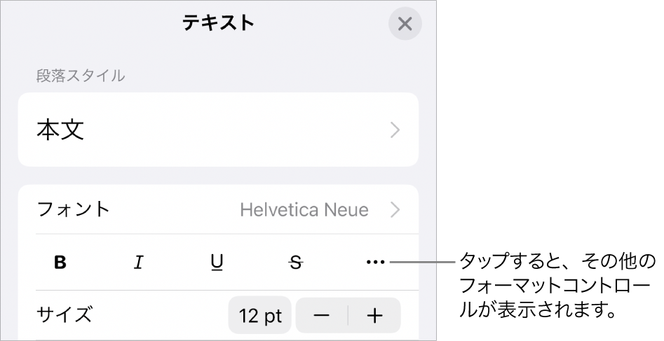 「フォーマット」コントロールの「テキスト」タブ。「その他のテキストオプション」ボタンへのコールアウトが表示された状態。