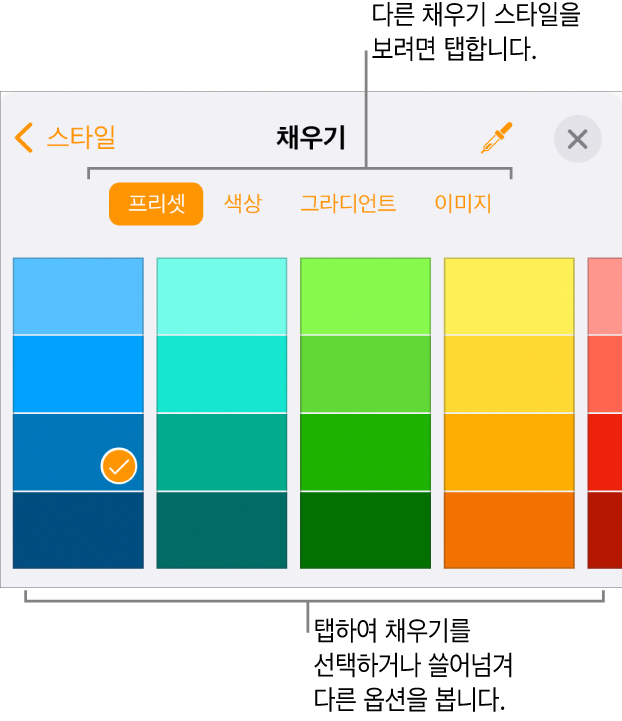 포맷 버튼의 스타일 탭에 있는 채우기 옵션.