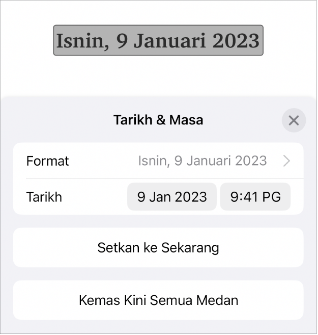 Kawalan Tarikh & Masa menunjukkan Format menu timbul untuk tarikh dan butang Setkan kepada Sekarang dan butang Kemas Kini Semua Medan.