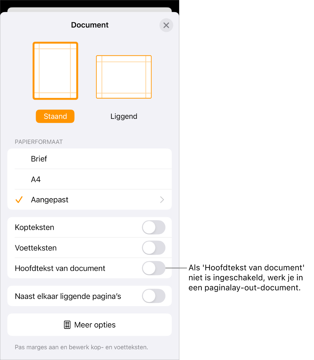 Het paneel 'Documentontwerp' met 'Hoofdtekst van document' uitgeschakeld in een paginalay-outdocument.