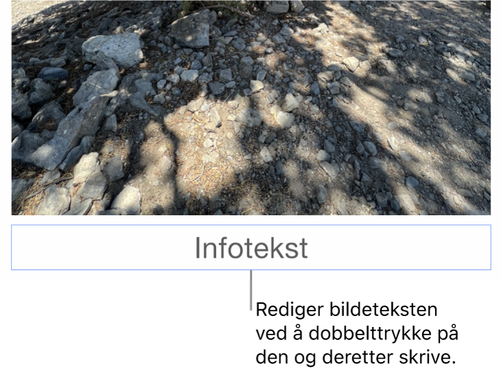 Plassholderinfoteksten «Infotekst» vises under et bilde. Et blått omriss rundt infotekstfeltet viser at det er markert.