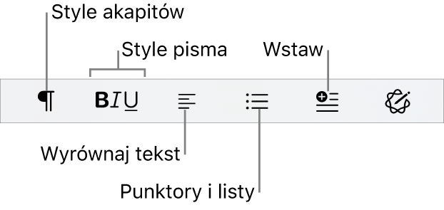 Pasek szybkiego formatu pokazujący ikony stylów akapitu, formatowania tekstu, punktorów i list, a także wstawiania elementów.