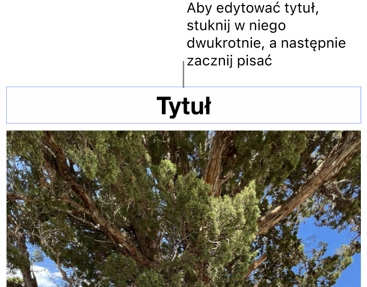 Tytuł zastępczy o treści „Tytuł” widoczny powyżej zdjęcia. Niebieska ramka wokół pola tytułu wskazuje, że jest on zaznaczony.