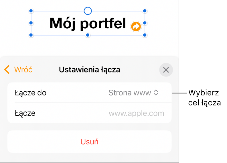 Narzędzia Ustawienia łącza; wybrane jest narzędzie Strona www; na dole znajduje się przycisk Usuń.