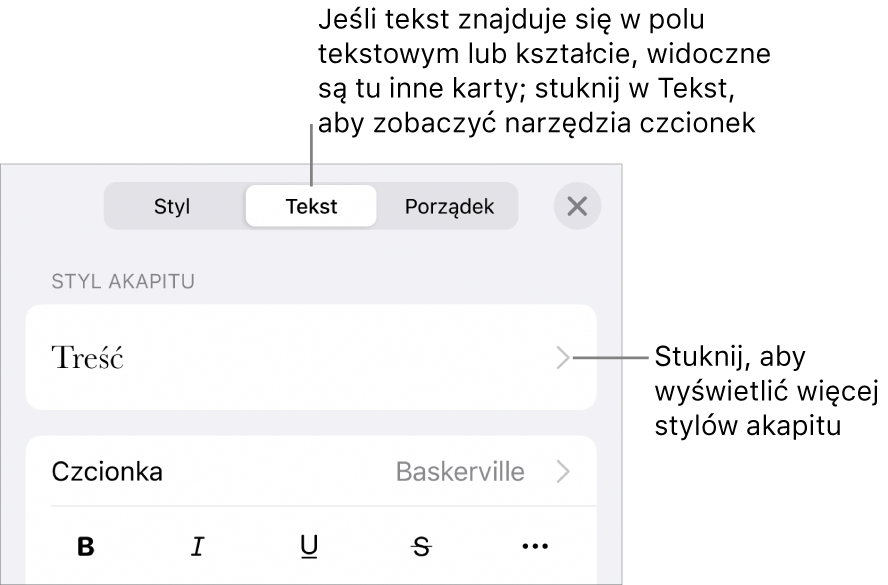 Menu Format z narzędziami tekstu pozwalającymi na ustawianie stylów akapitu, stylów znaków, czcionki, wielkości oraz koloru.