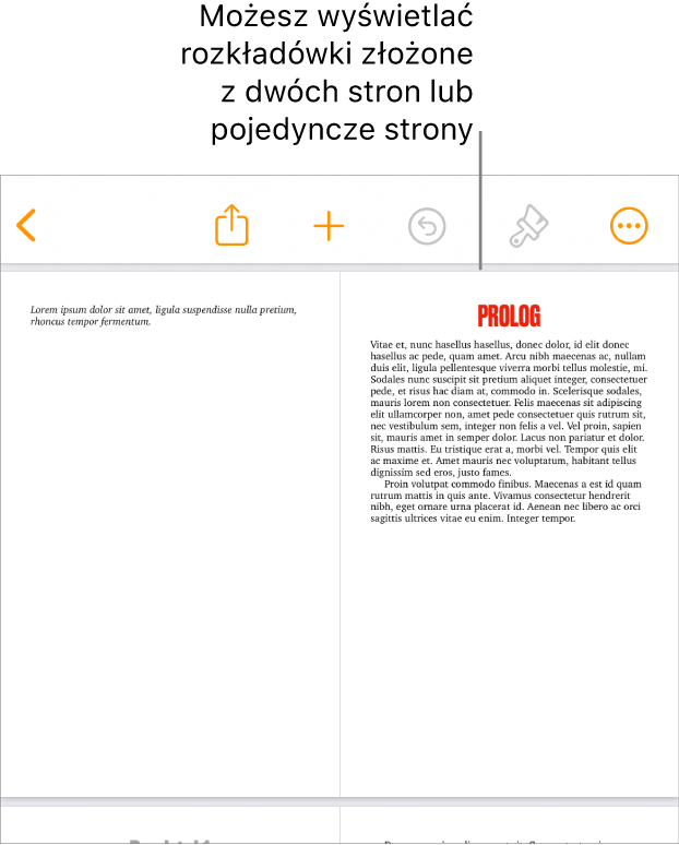 Dokument ze stronami wyświetlanymi jako rozkładówka złożona z dwóch stron.