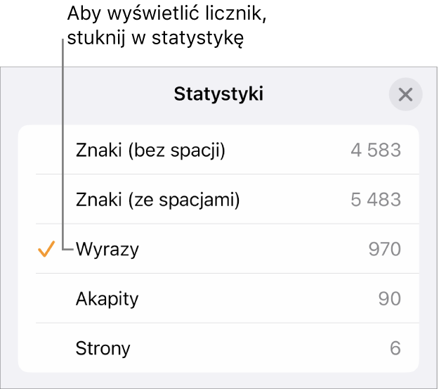 Menu Statystyki zawierające opcje pozwalające na wybranie wyświetlania liczby znaków ze spacjami i bez spacji, liczby wyrazów, liczby akapitów oraz liczby stron.