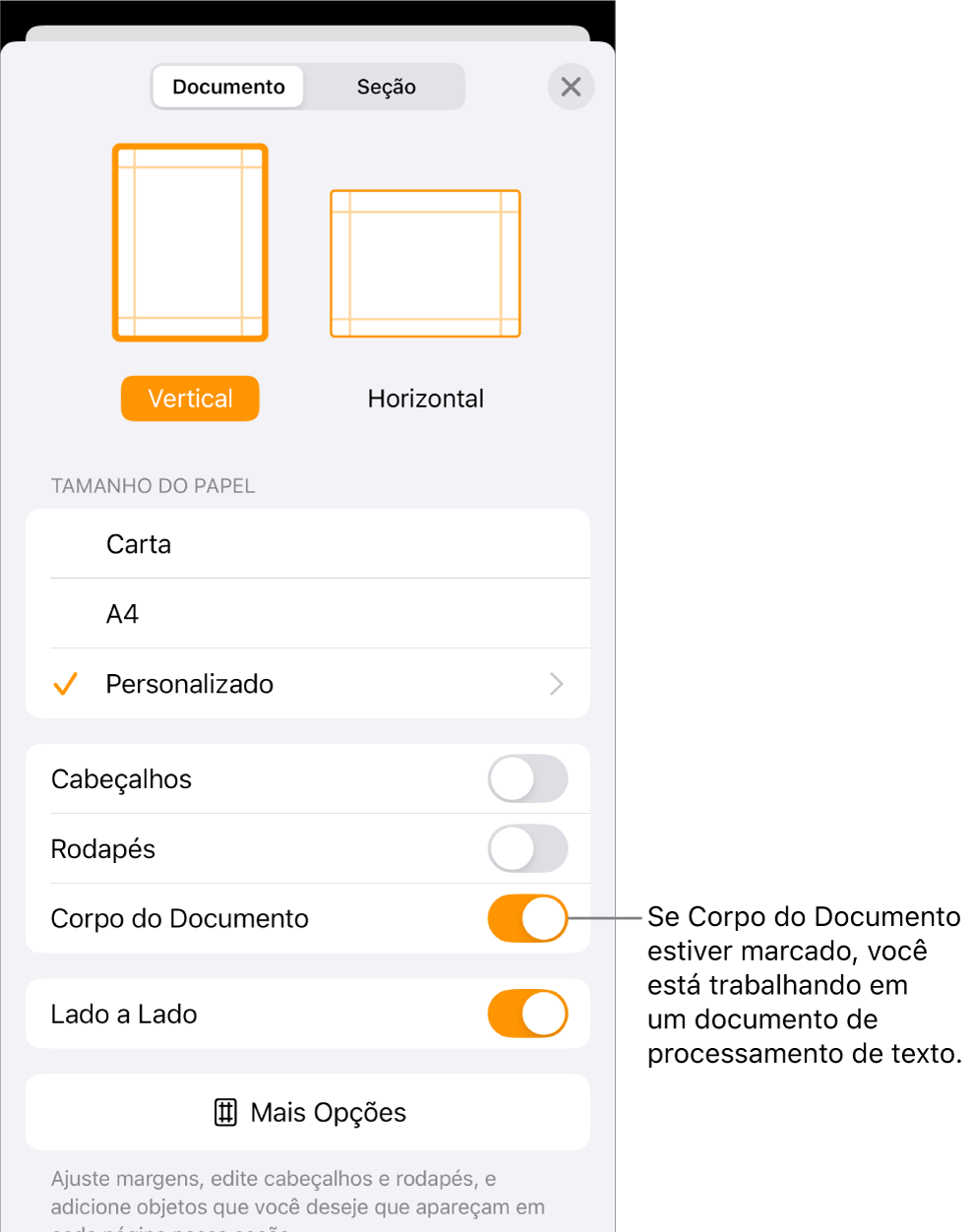 Configuração do Documento aberta com a opção Corpo do Documento marcada em um documento de processamento de texto.