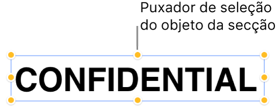 Um objeto com puxadores de seleção.